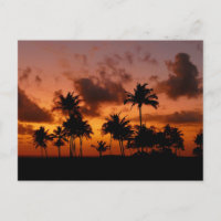 Palmen bei Sonnenuntergang - rot