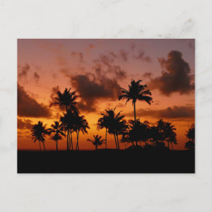 Palmen bei Sonnenuntergang - rot Postkarte
