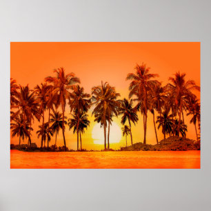 Palmen bei Sonnenuntergang. Sri Lanka. Poster