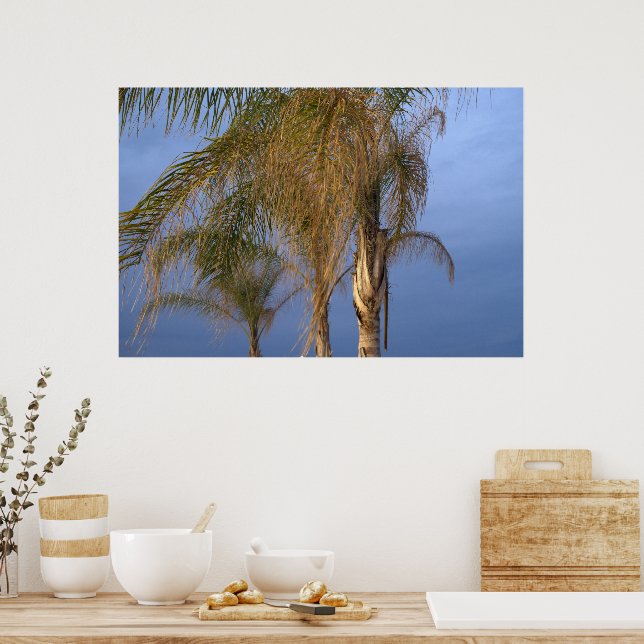 Palmen blühen im Sommer Poster (Küche)