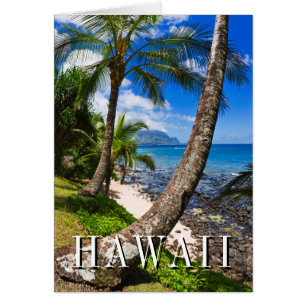 Palmen entlang Hideaways Beach