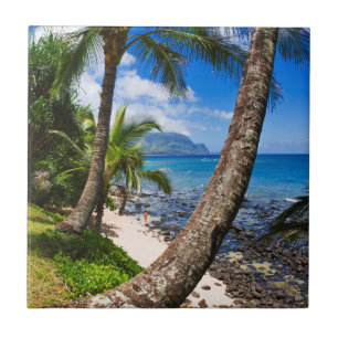 Palmen entlang Hideaways Beach Fliese