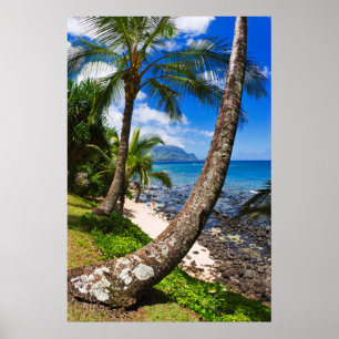 Palmen entlang Hideaways Beach Poster