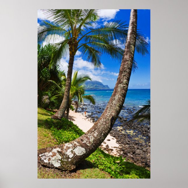 Palmen entlang Hideaways Beach Poster (Vorne)
