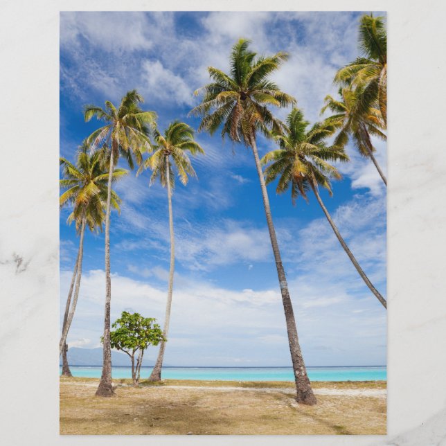 Palmen Flyer (Vorne)