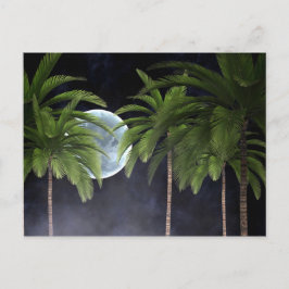 Palmen gegen den Mond Postkarte