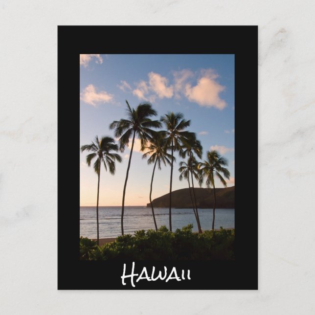 Palmen Hawaiianischer Sonnenaufgang mit Text Postkarte (Vorderseite)