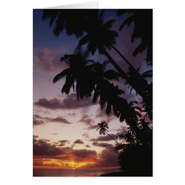 Palmen im Meer (Vorne)