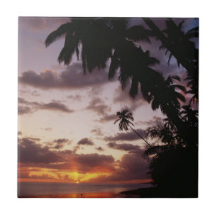 Palmen im Meer Fliese