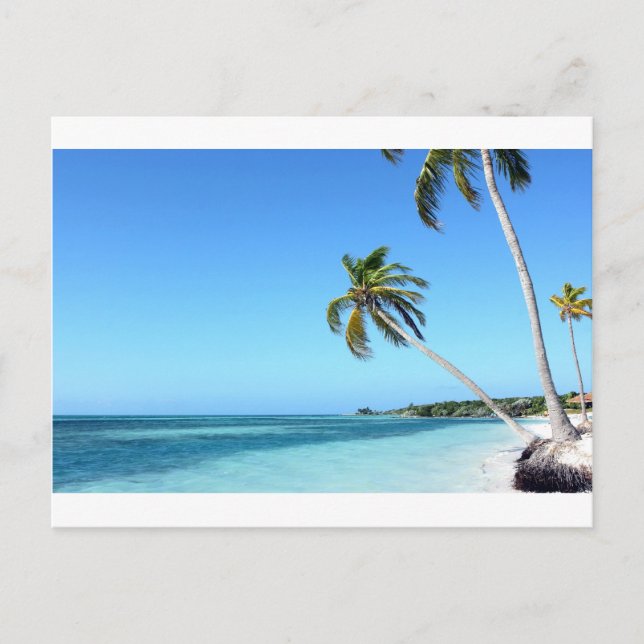 Palmen im Meer Postkarte (Vorderseite)