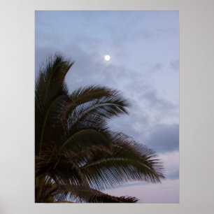 Palmen im Paradies Poster