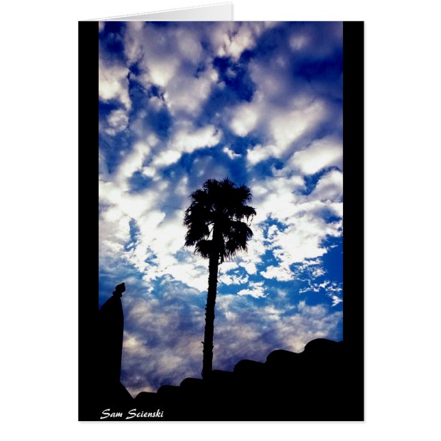 Palmen in den Wolken (Vorne)