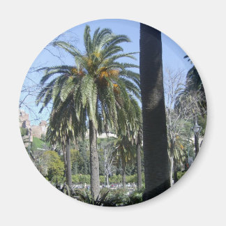 Palmen in Malaga Magnet