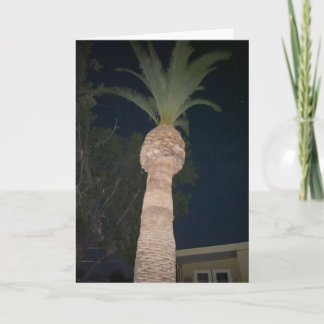 Palmen 🌴 karte