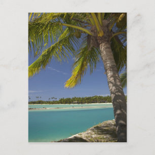 Palmen & Lagune, Musket Cove Island Resort Postkarte