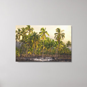 Palmen, National Historic Park Pu'uhonua o Leinwanddruck