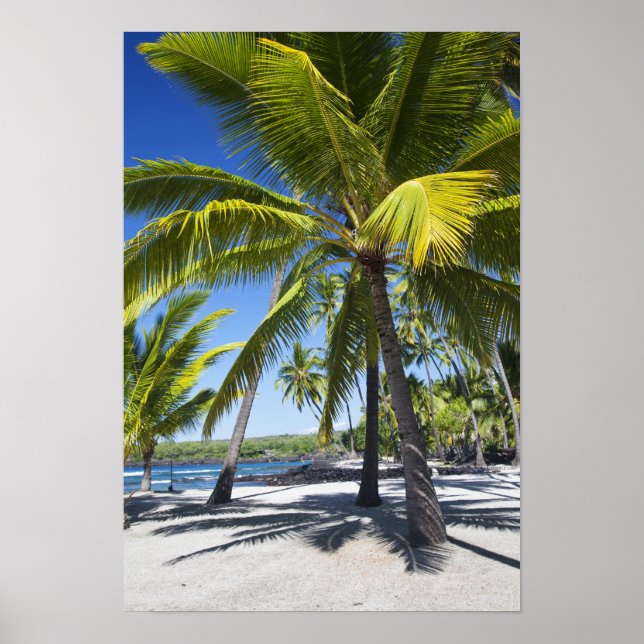 Palmen, National Historic Park Pu'uhonua o Poster (Vorne)