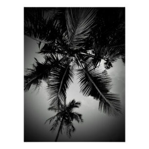 Palmen Poster
