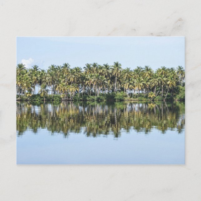 Palmen reflektiert postkarte (Vorderseite)