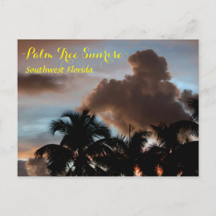 Palmen Sonnenaufgang Florida Postcard Postkarte