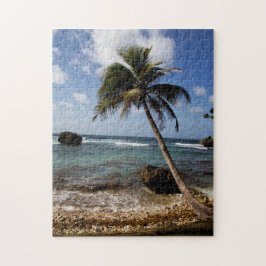 Palmen, Soup Bowl, Bathsheba, Barbados
