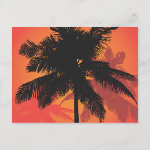 Palmen Trees Sunset Silhouetten Postkarte