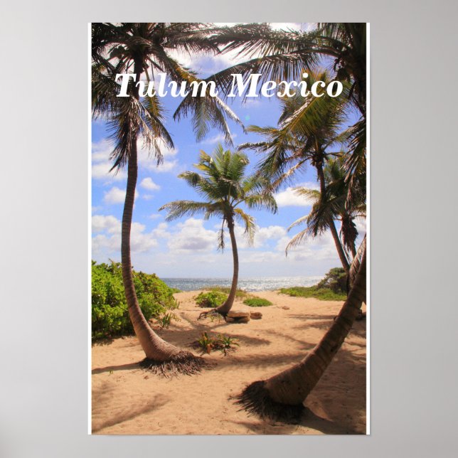 Palmen und Karibik Sea Tulum Mexico Poster (Vorne)