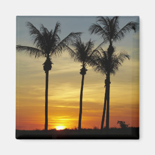 Palmen und Sonnenuntergang, Mindil Beach Magnet