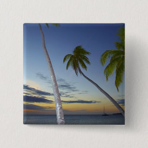 Palmen und Sonnenuntergang, Plantation Island Reso Button