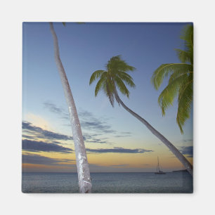 Palmen und Sonnenuntergang, Plantation Island Reso Magnet