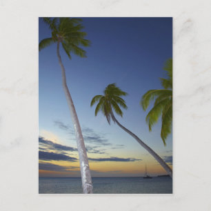 Palmen und Sonnenuntergang, Plantation Island Reso Postkarte