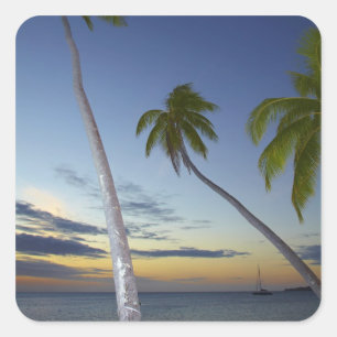 Palmen und Sonnenuntergang, Plantation Island Reso Quadratischer Aufkleber