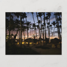 Palmen und Sonnenuntergang Postkarte