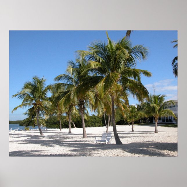 Palmen und Strand Print Poster (Vorne)
