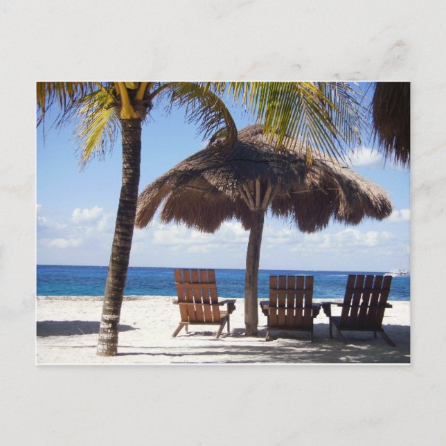 Palmen und Stühle Mexiko Strand Postkarte (Vorderseite)