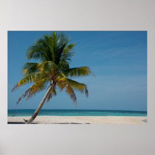 Palmen und weißer Sandstrand 2 Poster