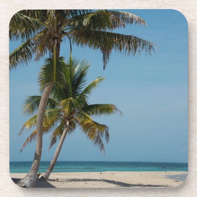 Palmen und weißer Sandstrand Untersetzer (Vorderseite)