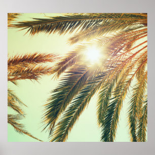 Palmen, Vintager Himmel. Poster