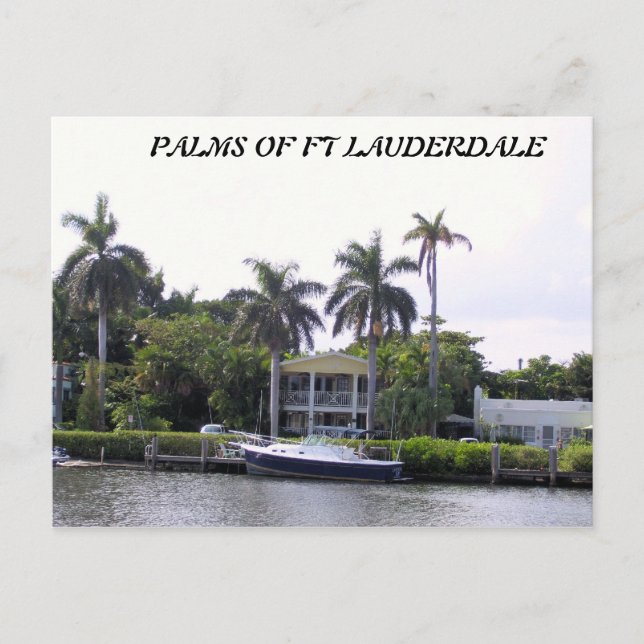 PALMEN VON FT LAUDERDALE POSTKARTE (Vorderseite)