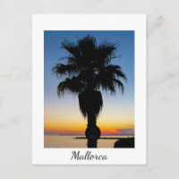 Palmen von Mallorca im Sonnenuntergang