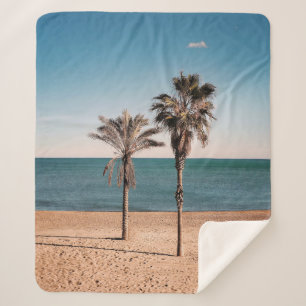 Palmenbaum am Strand am Morgen Sherpadecke