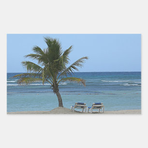 Palmenbaum am Strand Rechteckiger Aufkleber