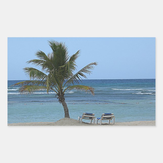 Palmenbaum am Strand Rechteckiger Aufkleber (Vorderseite)