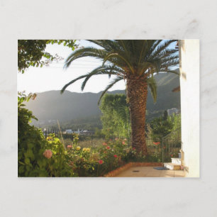 Palmenbaum bei Sonnenuntergang auf der Insel Korfu Postkarte