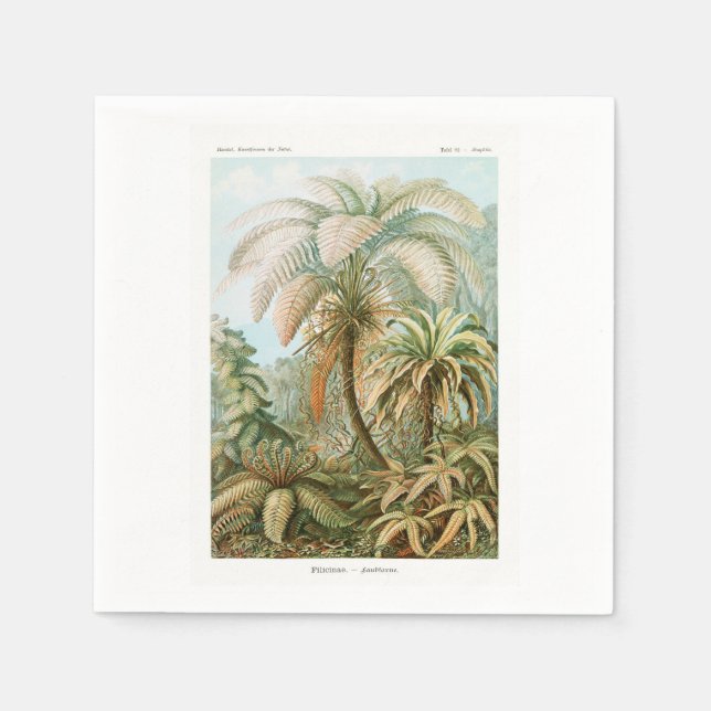 Palmenbaum Ernst Haeckel    Serviette (Vorderseite)