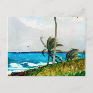 Palmenbaum Nassau von Winslow Homer Postkarte