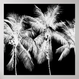 Palmenbaum tropischen Sommer hawaii schwarz-weiß Poster