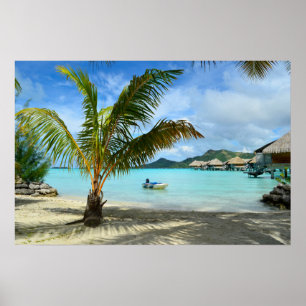 Palmenbaum und Überwasser-Resort-Plakat Poster