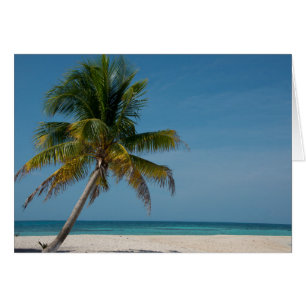Palmenbaum und weißer Sandstrand  2