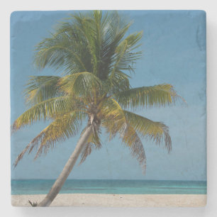 Palmenbaum und weißer Sandstrand 2 Steinuntersetzer